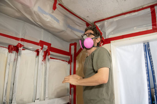 Best Attic Mold Removal  in Rockcreek, OR